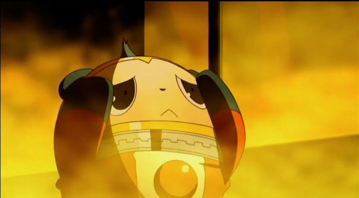 teddie.